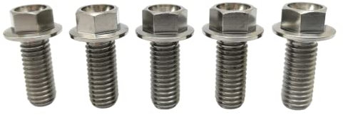 RISON-Titanium Titanschrauben M8x1.25x10mm, Sechskantschraube Flanschschraube in GR5 Titan Luft- und Raumfahrtqualität, Flanschkopf Sechskantschraube für Motorrad und Automodifikationen, 5 Stück