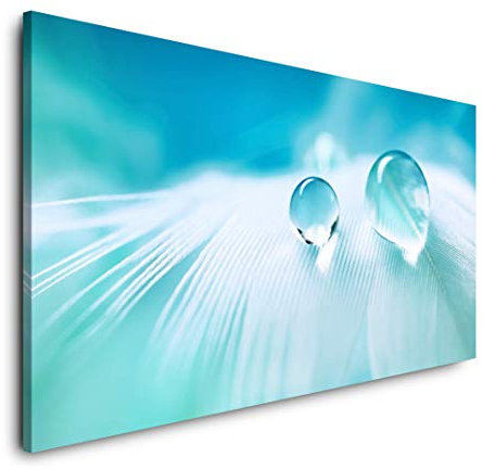 Wassertropfen auf einer Feder 120x 60cm Panorama Leinwand Bild XXL Format Wandbilder Wohnzimmer Wohnung Deko Kunstdrucke