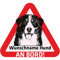 Indigos UG - Namensaufkleber Hund - Berner Sennenhund - Aufkleber mit Namen & Wunschtext - individuell personalisiert - Auto - Motorrad - LKW