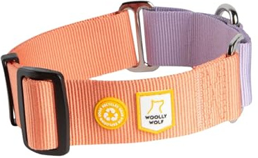 Woolly Wolf Color Block Halsband für mittelgroße Hunde Gr. M Lachsrosa - Trainingshalsband mit maximaler Passform, Sanfte Kontrolle ohne Würgeeffekt, Aus recyceltem Material