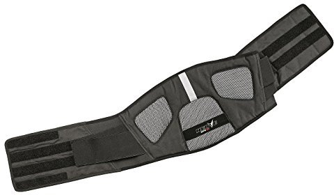 Nerve Nierengurt Dynamic, Schwarz, L