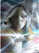 Yingxin34 Puzzles für Erwachsene Puzzle 2000 Teile Mädchen und Tier für Erwachsene Jugendliche 70X100cm（27.55 * 39.37inch）
