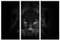 AREDE 3er Set Wandkunst Gemälde Bild Poster Starren von Black Panther | 90 x 60 cm | Wandbilder Wanddekoration Home Office Wohnzimmer Schlafzimmer Dekoration | Fertig zum Aufhängen