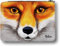 Wandtattoo Loft Gefüllte Federtasche Federmappe Fuchs Motiv personalisiert Wunschname Geschenk Geburtstag Einschulungsgeschenk