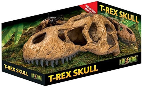 Exo Terra T-Rex-Schädel, sicheres Versteck für Reptilien und Amphibien, groß, 1 Stück (1er Pack)