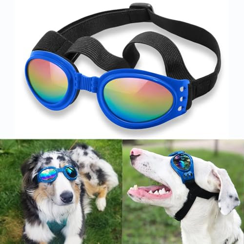 Lunettes de Soleil pour Chien Qumy Qumy - Protection des Yeux - Imperméables - pour Chiens de Plus de 5 kg