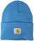 Carhartt Damen herren Mütze (Skull Cap) - blau -