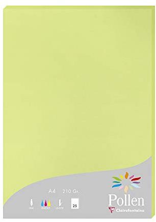 Clairefontaine 224205C - Packung mit 25 Karten Pollen 210g, DIN A4, 21 x 29,7cm, Knospengrün