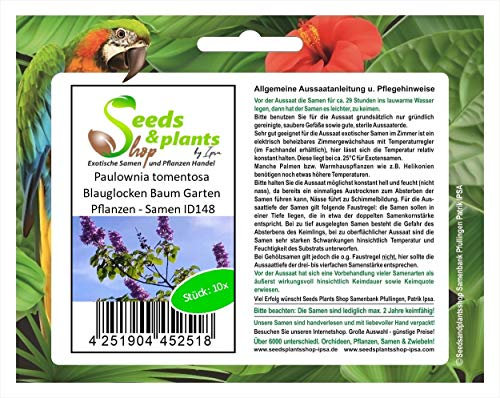 Stk - 10x Paulownia tomentosa Blauglocken Baum Garten Pflanzen - Samen ID148 - Seeds & Plants Shop by Ipsa