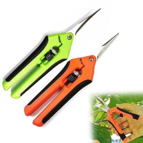 iCovalescent 2 piezas Tijera Podar Pequeña Para Jardinería, Punta Recta Profesionales para Recoger Frutas árbol Flor Ramas, Cuchillas de Acero IInoxidable, Mangos de Plástico(16.5cm, Naranja, Verde)