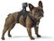 GoPro Zubehör Fetch Hundegeschirr - geeignet für HERO4/HERO3+/HERO3/HD HERO2/Original HD HERO/HERO (Offizielles GoPro-Zubehör)