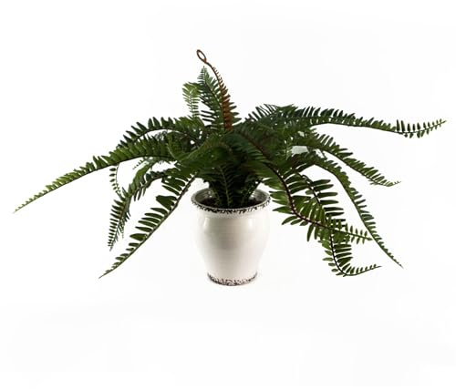 Leaf Artificial Realistic Natural Look Moss Fern in Pot,40cm