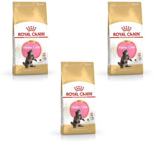 Maine Coon Kitten | Trockenfutter für Kätzchen | 3 x 400 g | Mit Vitamin E | Royal Canin | Alleinfuttermittel | Für Babykatzen bis 12 Monate | 3er Pack