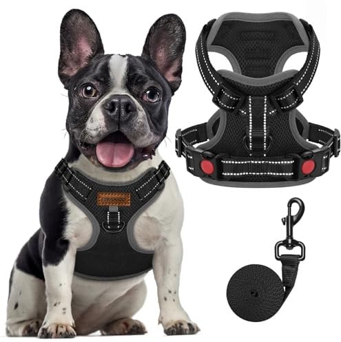 FAYOGOO Hundegeschirr, Kein Choke Front Clip Hund Reflektierendes Geschirr, No-Pull Verstellbare Weiche Gepolsterte Haustier Weste Set für kleine Mittlere Große Hunde Gehen (Schwarz, M)