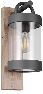 Trio Leuchten Außen Wandleuchte Sambesi 204160135, Aluminium Druckguss Anthrazit mit Holznachbildung, exkl. 1x E27, Holzfarbig
