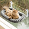 EDAGNY Elegant Hamac pour Chat Pliable - Hamac Chat Fenetre avec réversible et Lavable lit pour, lit de fenêtre Supporte jusqu'à 18kg (Gris, M)