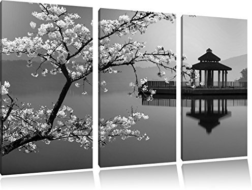 magnifique cerisier sur la mer japonaise noir / blanc sur l'image 120x80 sur toile 3-pièces de l'image de la toile, énorme XXL Photos complètement encadrée avec civière, art impression sur murale avec cadre, gänstiger comme la peinture ou la peinture à l'huile, aucune affiche ou un poster