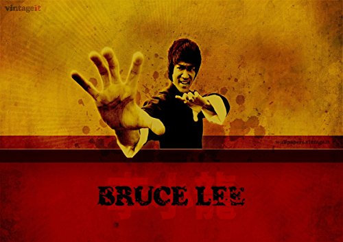 My Little Poster Plakat Bruce Lee Kunst des Wing Chun 04 Wand-Kunst