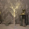 TRIXES White LED Light Up Artificial Tree for Christmas, Easter, Home Décor and More – Battery Powered Indoor Ornament/Lamp for Tables – Silver Birch Wooden Effect with LED Lights in The Twigs