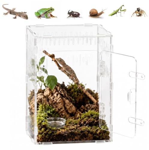 Dexpally Terrarium Acrylique Transparent 30x20x15 cm | Vivarium 360° Ventilation Croisée pour Araignées Sauteuses, Tarentules, Escargots, Rainettes, Serpents et Insectes