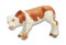Bullyland BULLY 62521 Kalb Fridolin, braun/weiß