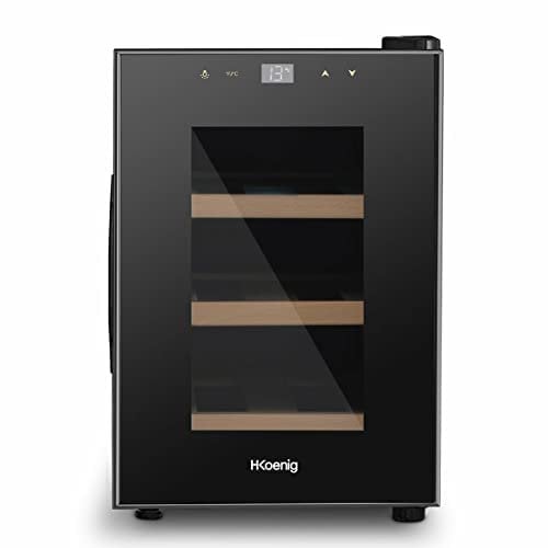 H.Koenig Cantina per vini 6 bottiglie AGE6, 17 L, professionale in acciaio inox, refrigerante, termoelettrica, regolabile da 8°C a 18°C, silenziosa, illuminazione interna, 3 ripiani, nero