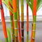 100 Stück Bambus Samen Winterhart, Bambus Pflanze Samen, Blumensamen für Garten und Balkon,Garten Blumen, Ideale Garten Pflanzen, Balkon Pflanzen (Mehrfarbig)