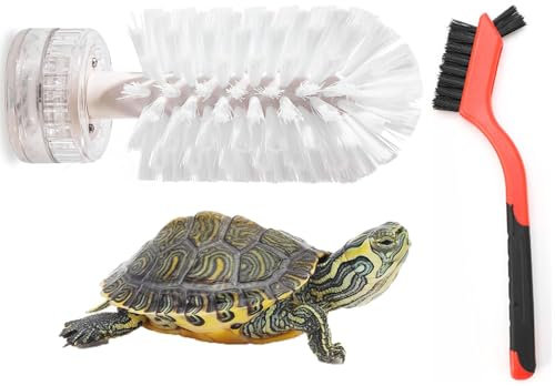 XUKPO Brosse Tortue, Brosse Nettoyage Carapace Tortue, Brosse RéCurer pour Tortue, Brosse Ventouse pour RéServoir pour Enlever Les Carapaces Tortue, Brosses RéCurer Poils pour Verrerie