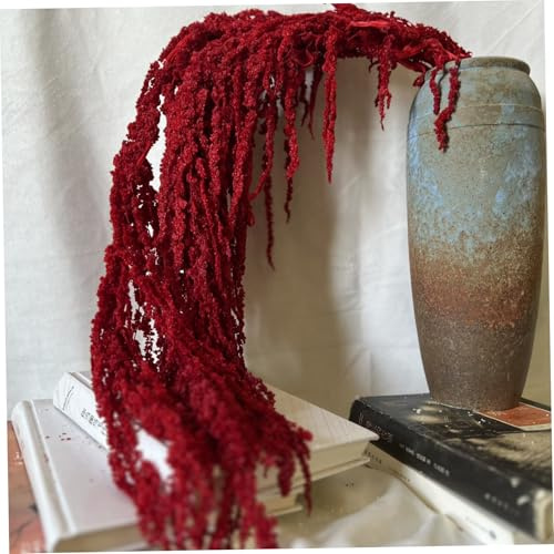 Getrockneter Amaranthus, 60-80 cm natürliche hängende Trockenblumen, erhaltene Amaranthus-Blumen für Hochzeitsbogen, Blumenanordnung, Wanddekorationen (rot)
