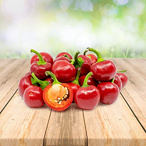 Piment Red Cherry 25 x Graines du Portugal 100% Naturel sans Aide à la Culture Chimique ni Génie Génétique