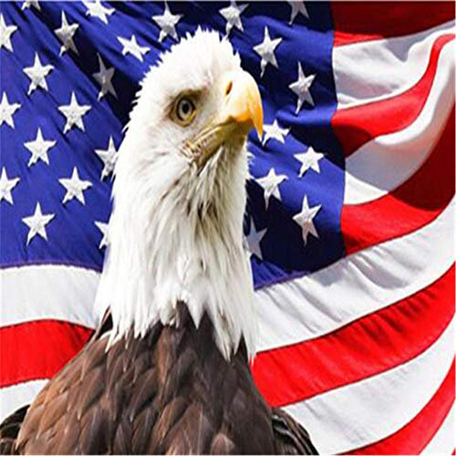 Yingxin34 Puzzlespiele für Erwachsene, 3000 Puzzleteile, Flagge und Adler, handgefertigte DIY-Anpassung, einzigartige-48.03x31.88 Zoll (122 x 81cm)