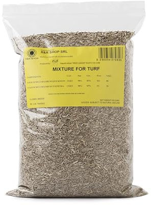 R&R SHOP - Semi per Prato Resistente, Loietto, Crescita Rapida e Calpestabile, Adatto a tutti i tipi di Terreno (500gr - 20mq)