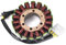 Stator Spule Für CBR 600 RR CBR600RR CBR600 F5 31120-MEE-003 2003-2006 CBR600 RR Für CBR 600 2007-2016 31120-MFJ-D01 Motorrad Generator Magneto Stator Spule Lichtmaschine Stator Zündung (Farbe : 2003