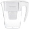 Caraffa con filtro dell'acqua Aquagear - Filtro per piombo, fluoruro, cloro, cromo 6 - Senza BPA, trasparente