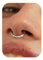 BodyBonita Septum Piercing 16G – 316L Edelstahl Nasenpiercing Nasenring Reifen für Damen Herren Helix Conch Piercings Tragus Daith Knorpel Piercing Silber 8 mm Hammered Satin Finish