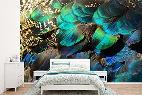 MuchoWow Papier peint Plumes - Plumes de paon - Paon - Bleu - Art Papier peint photo 525x350 cm Papier peint imprimé