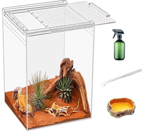 KAKOOTI Kit Terrarium Reptile, 20cm * 20cm * 30cm boîte d'élevage Reptile, boîtier Acrylique magnétique pour Serpent, Tarentule, Crabe résident, araignée sauteuse, Iguane, Gecko léopard, Chiron