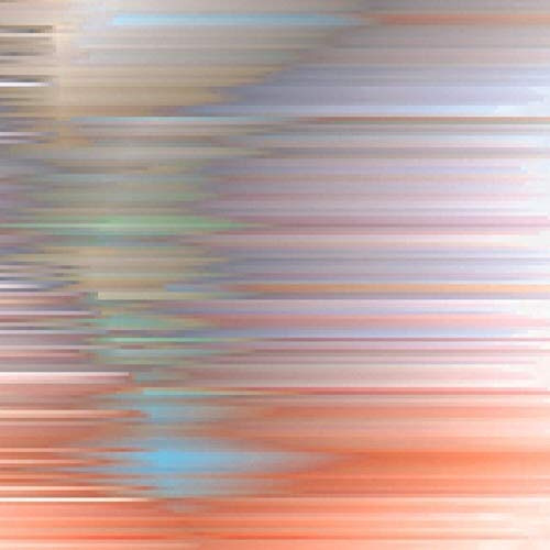 Awakening from the Illusory Self Dl)