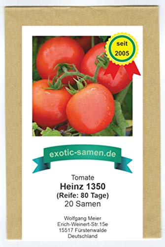 Strauchtomate - Heinz 1350 - platzfest - hervorragend für kühles Klima - krankheitsresistent - mittelfrüh - 20 Samen