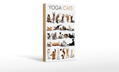 FEMER Holzschild Tiere 12x18cm Yoga Cats Katzen Schild