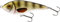 Westin Swim 12cm 53g suspending - Jerkbait zum Spinnfischen auf Hecht & Zander, Hechtjerkbait, Hechtköder zum Jerkbaitangeln, Farbe:Crystal Perch