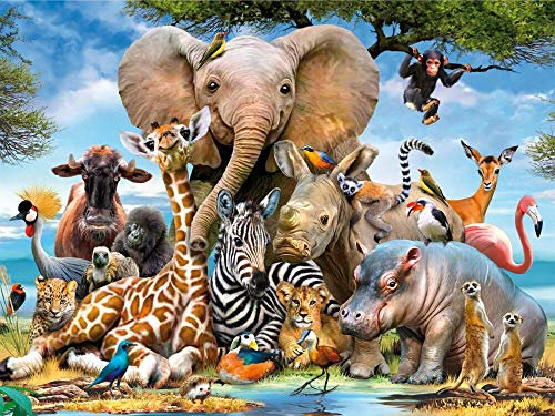 DIY Diamond Painting Art,Rhinestone Full Round Diamond Drill Kit,Gem Art Craft Home Game for Adult Kid,Wall Painting Kit 16x12 inch
