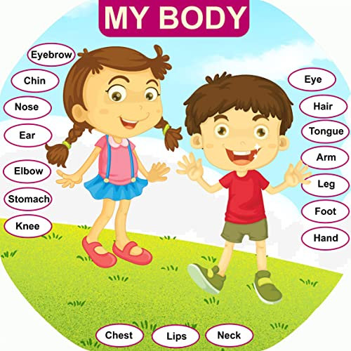 My Body Vinyl Tuff Tray Insert - 86 x 86 cm - Ideal for Large Tuff Spot Tuff Tray - Tuff Tray NOT Included