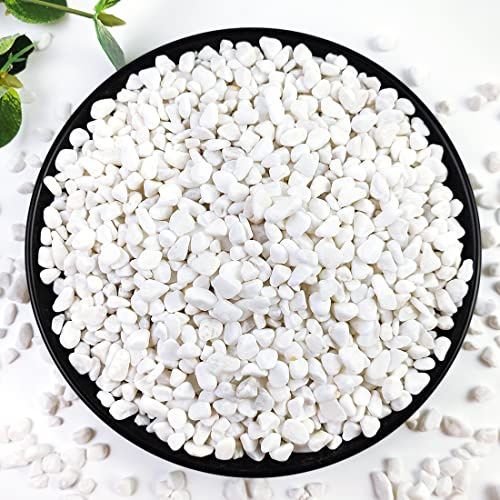 YISZM Piedras de grava de cactus y suculentas de 2 libras, piedras pulidas decorativas naturales blancas de 1/5 pulgada, rocas de río para plantas, jarrones, acuarios, terrarios y jardinería al aire