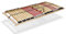 orthowell Lattenrost „orthowell deluxeflex“ 90x200 cm, ohne Verstellung, mit optimaler Federkraft