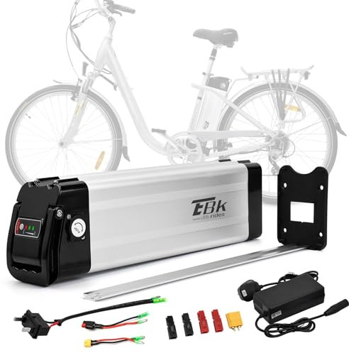 Ebkrides 48V 13AH Ebike Battery, Electric Folding Bike Battery Replacement Silverfish Removable Lithium-Ion Bicycle Battery with Charger, 2 Pins Discharge Port for 500W 750W 1000W Motor Electric Bike