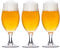 CONF.3 CAL.BIRRA CL37,5 EXECUTIVE