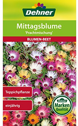 Dehner Blumen-Saatgut, Mittagsblume Prachtmischung, 5er Pack (5 x 0.8 g)