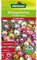 Dehner Blumen-Saatgut, Mittagsblume Prachtmischung, 5er Pack (5 x 0.8 g)