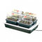 4 mini serre chauffante FAB4-38,5 x 24 x 17,5 cm - Garland germination-bouturage